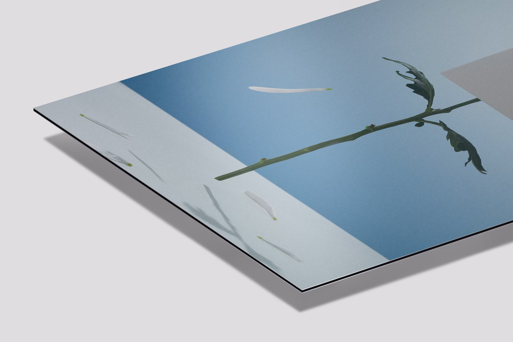 16 aluminium landscape