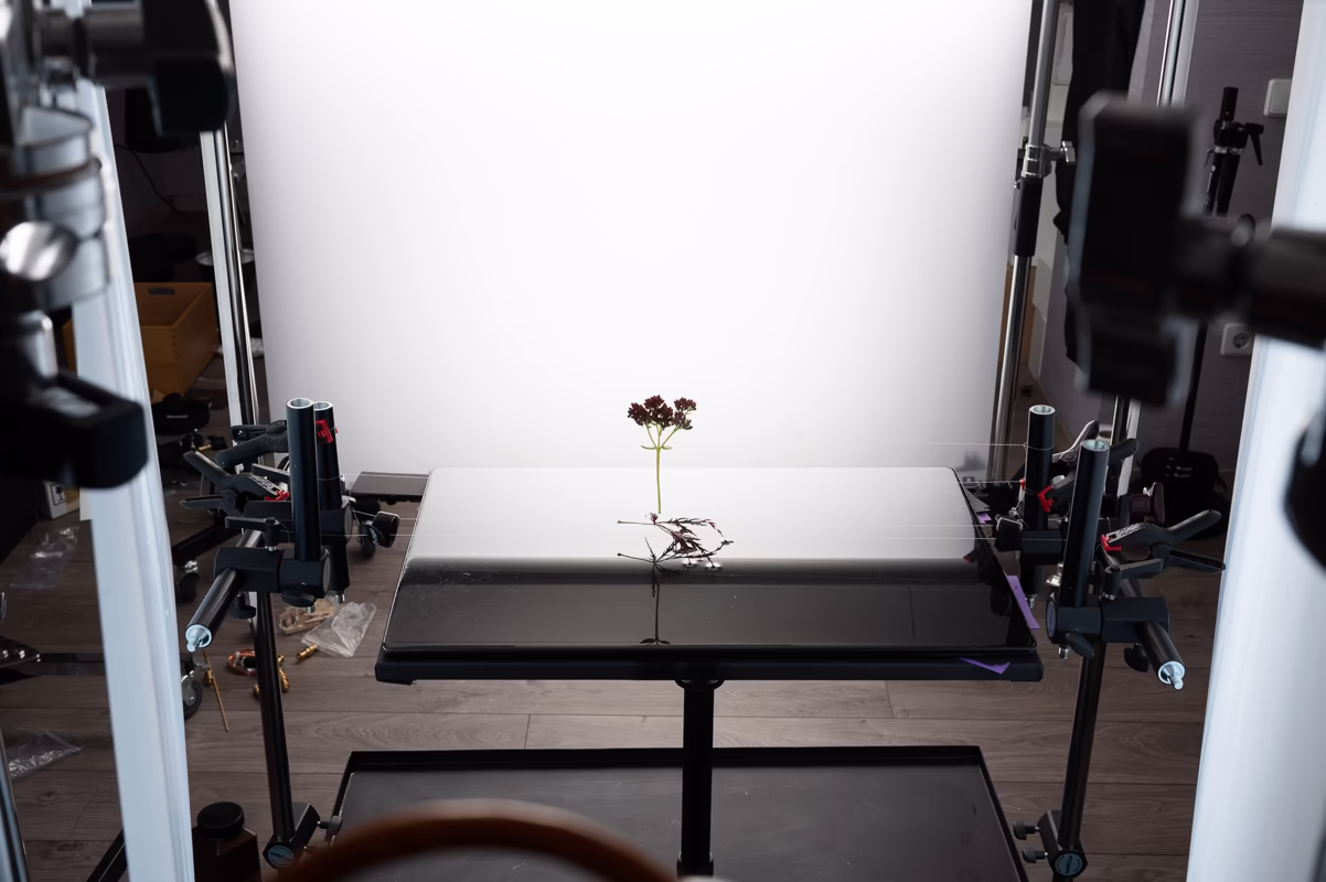 20 backstage 5
