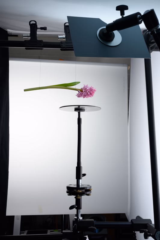 37 backstage 5