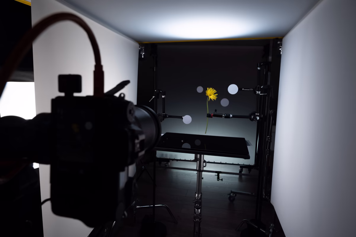 8 backstage 5